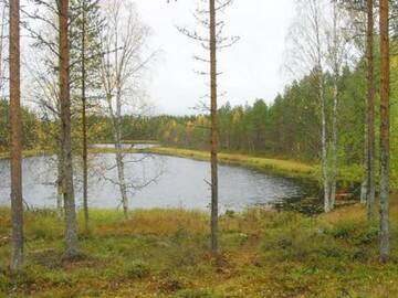 Фото номера Дом для отпуска Дома для отпуска Holiday Home Lumimarja г. Кавитайпале 30