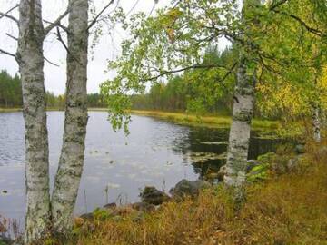 Фото номера Дом для отпуска Дома для отпуска Holiday Home Lumimarja г. Кавитайпале 37